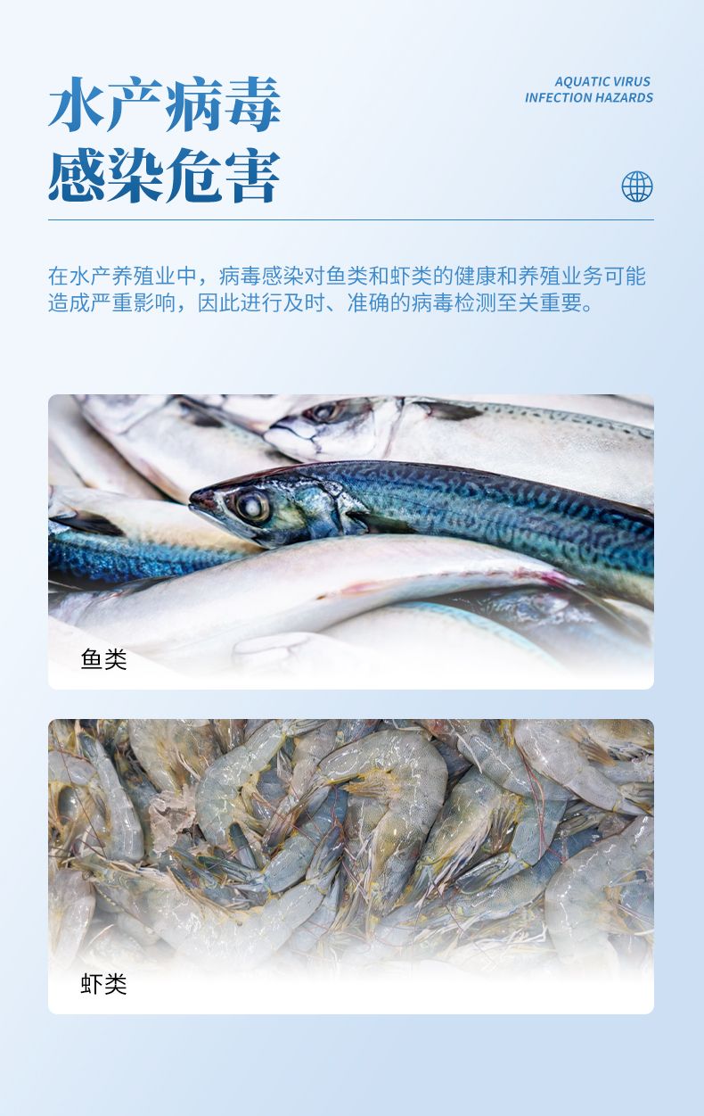 詳情頁_08_790x1251